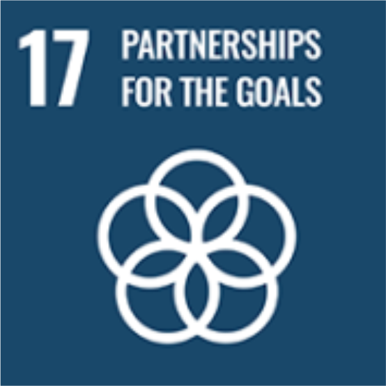 Partnerships for the Goals